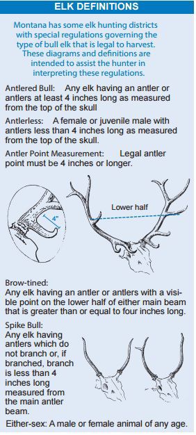 Elk Definitions